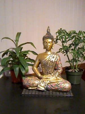 Simon Bonin Orthothérapeute - Massothérapie Drummondville gallery image 4