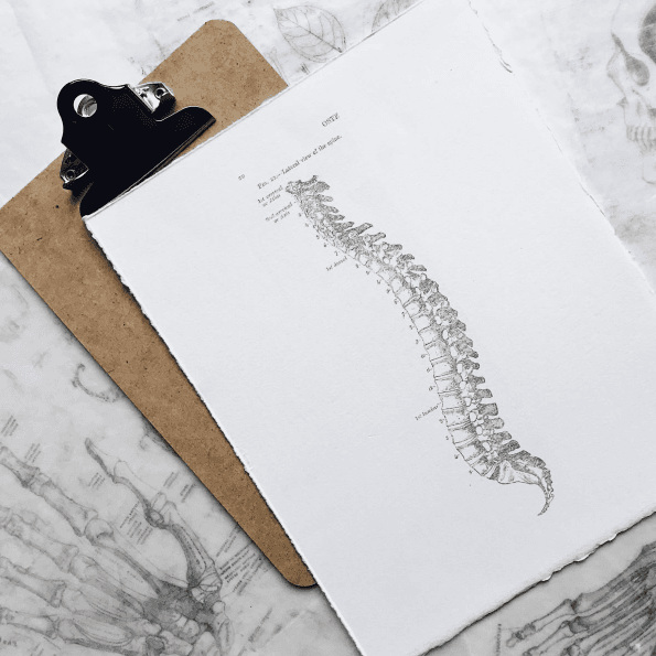 Criterion Wellness Clinic gallery image 5