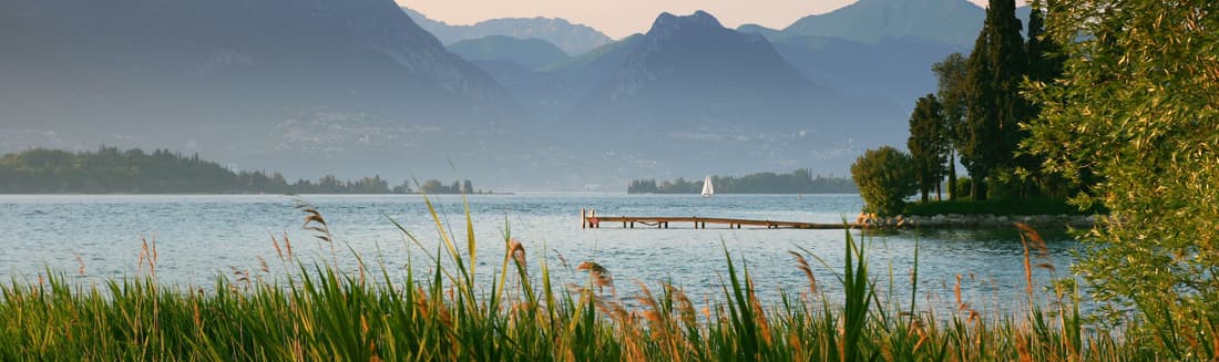 Dr. Candace Haarsma, Naturopathic Doctor for Women's Health