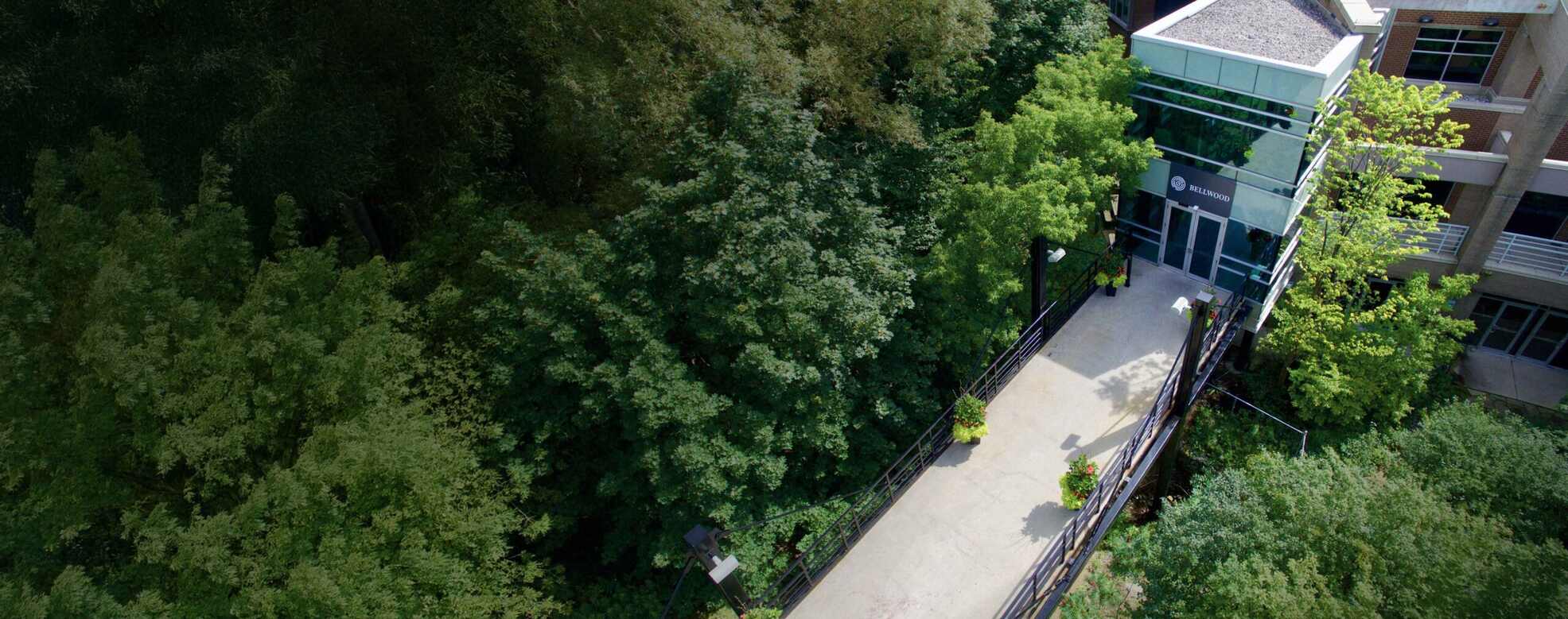 EHN Bellwood Toronto gallery image 2