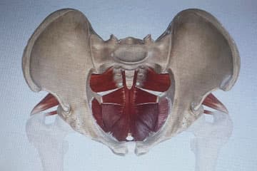 Charlton Physio and Wellness gallery image 5