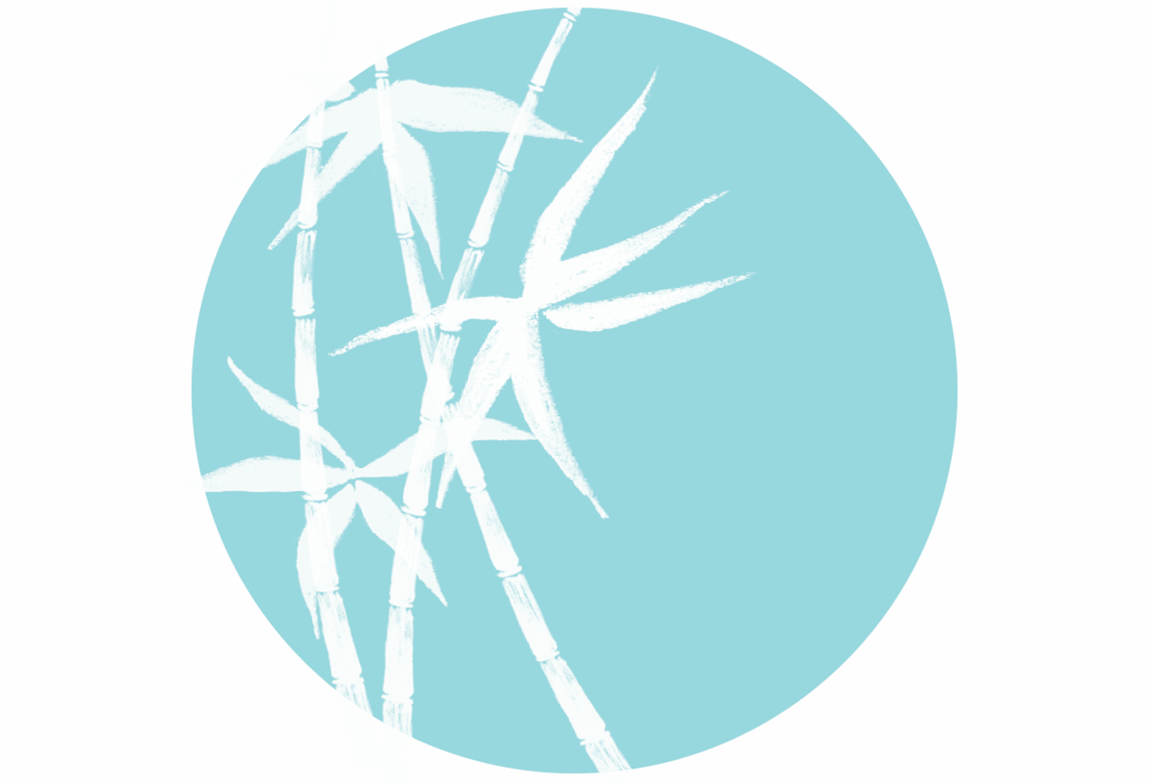 Healica Massage Therapy Barrie gallery image 4