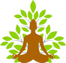 Holistic Ayurveda Wellness Centre, Only Ayurvedic Doctor in Ottawa gallery image 2