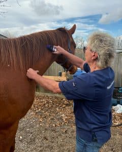 Pathways Holistic Petcare Centre gallery image 3