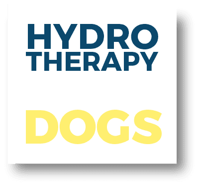 HydroPaws Hydrotherapy and Wellness Centre gallery image 3