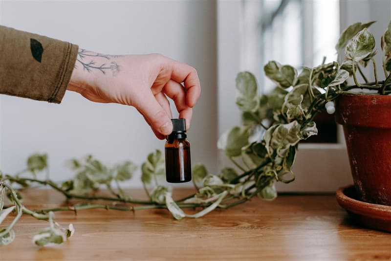 Les Mauvaises Herbes