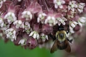 Lisa Woolgar Counselling gallery image 5