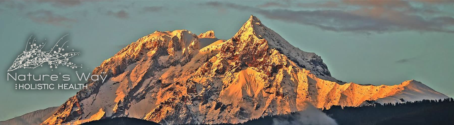 Nature's Way Holistic Health Squamish & Whistler - Mobile Massage, Shiatsu, EFT gallery image 2