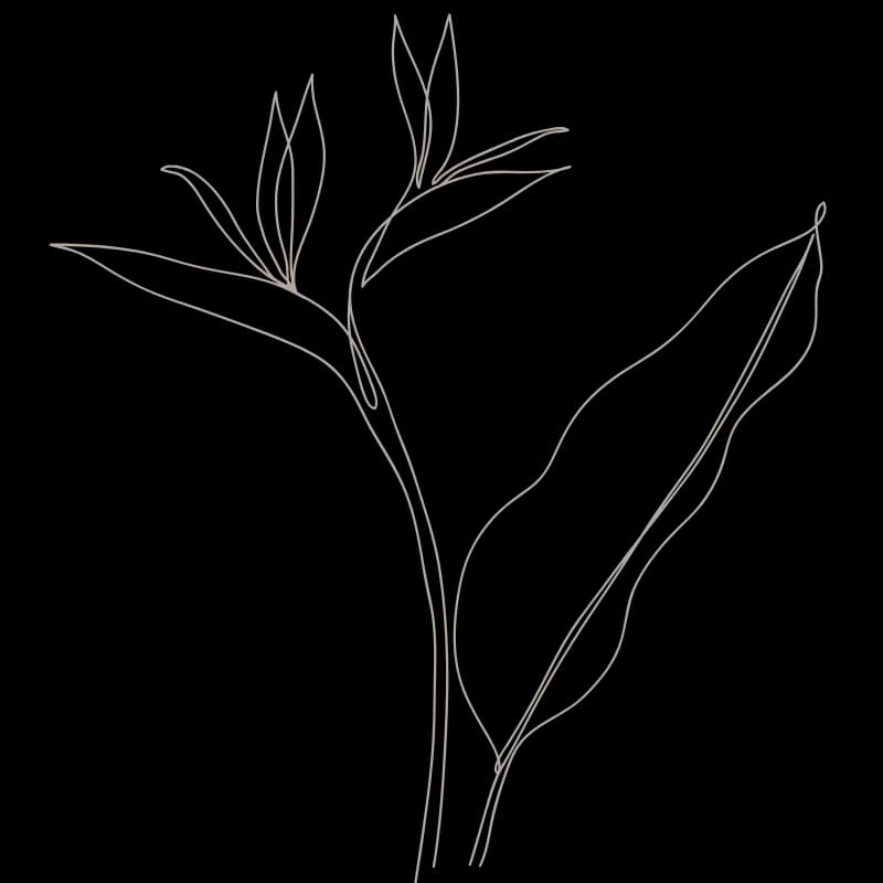 Optimale - Wellness Centre gallery image 3