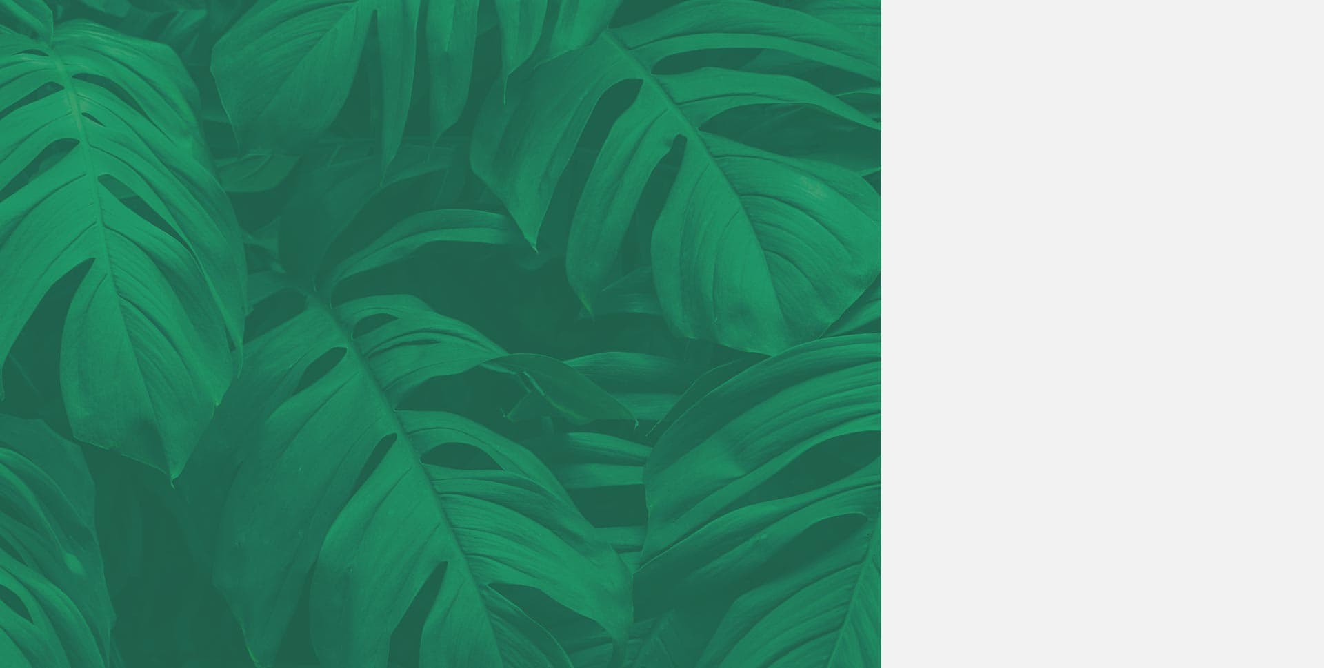 Ottawa Holistic Health Centre gallery image 4