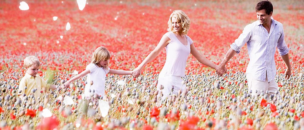 Ottawa Hypnosis gallery image 3