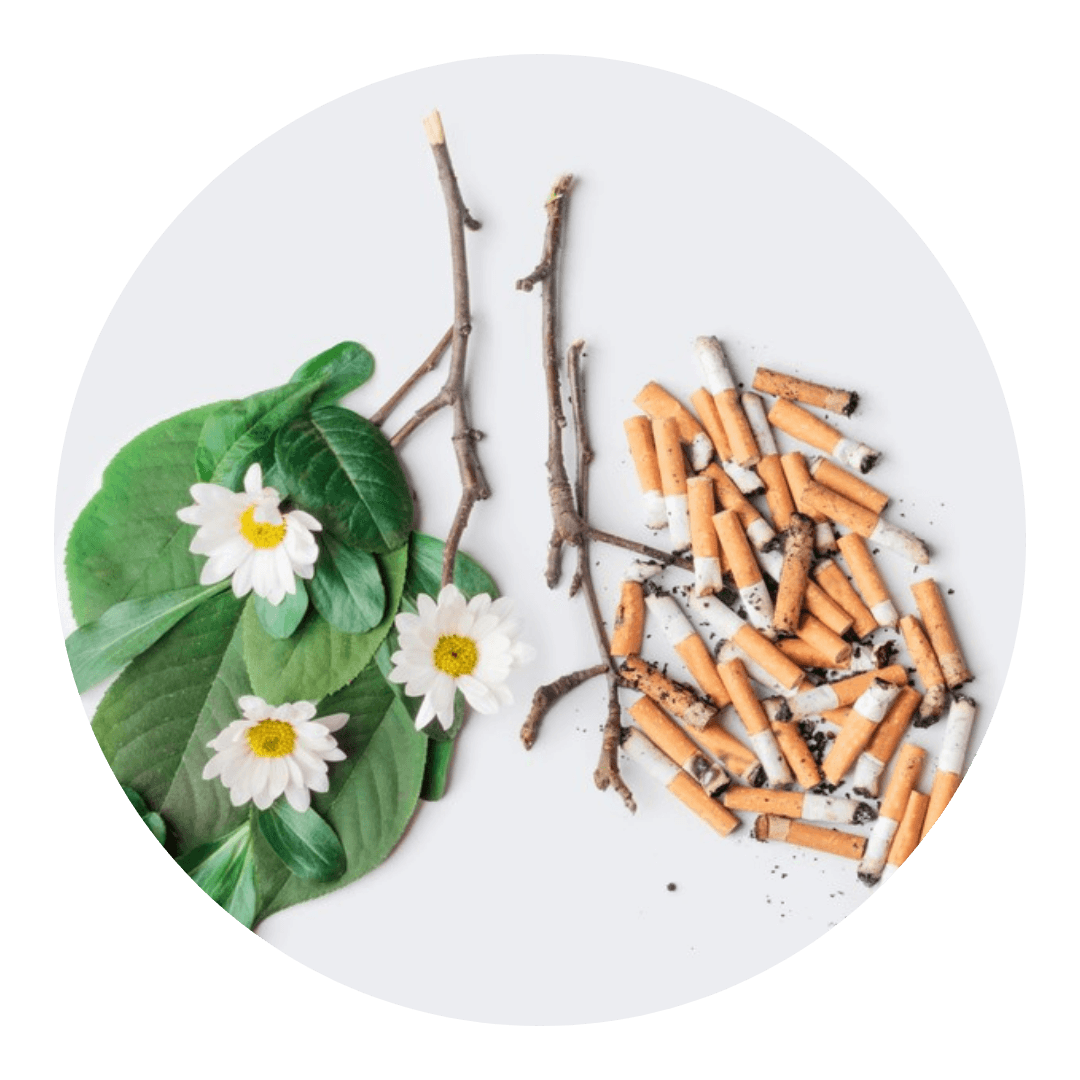 River Hypnosis gallery image 3