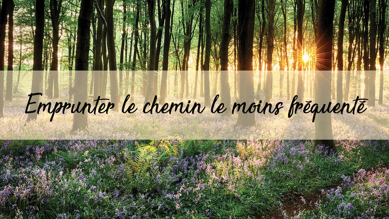 Science de la Spiritualité au Québec gallery image 5