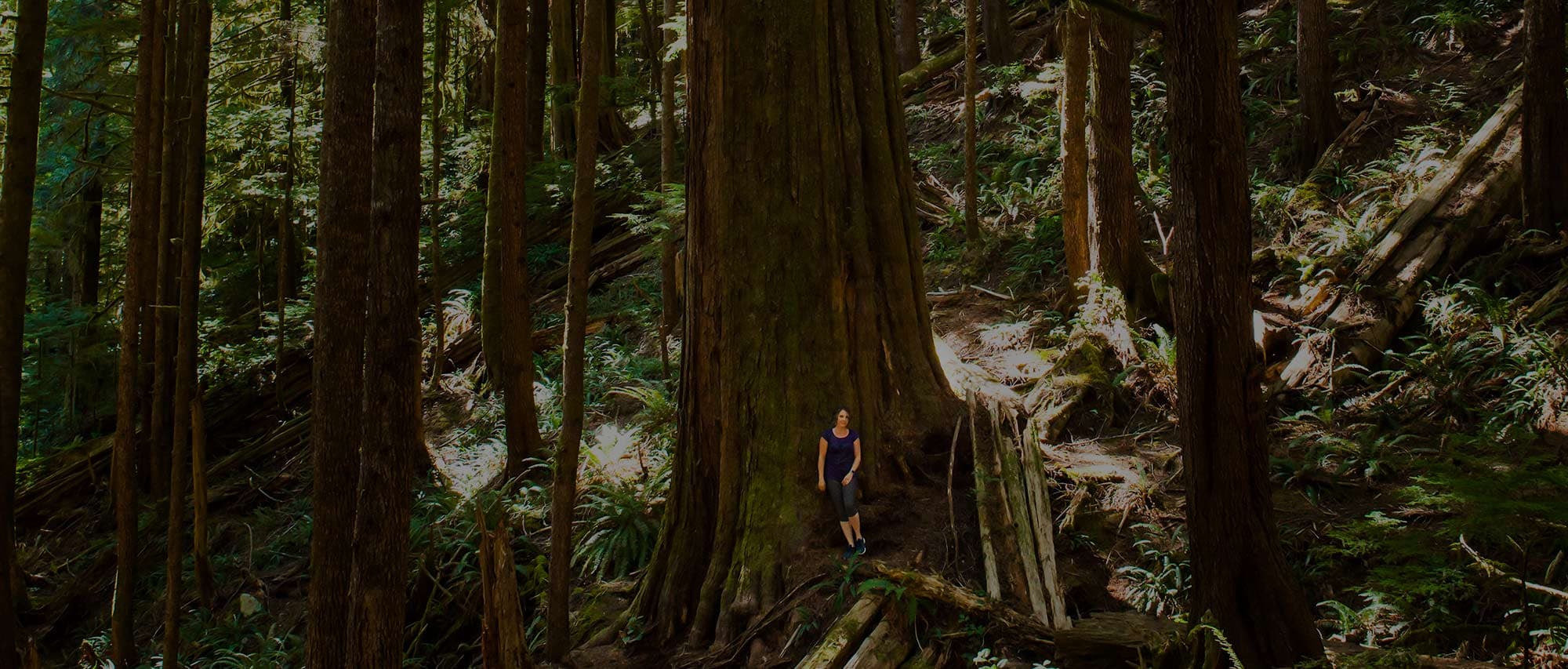 Vibrantly You - Life Coaching