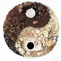 A1 Clinique Chinoise d’Acupuncture, Massothérapie et Herbologie de Montréal gallery image 2