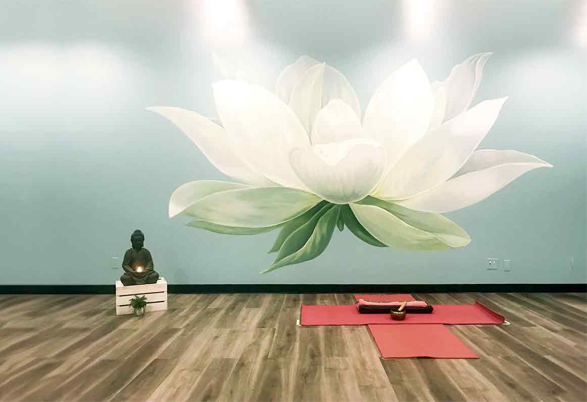 Yogacoeuractions gallery image 3