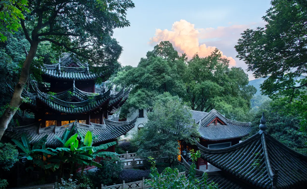TCM spa consultation