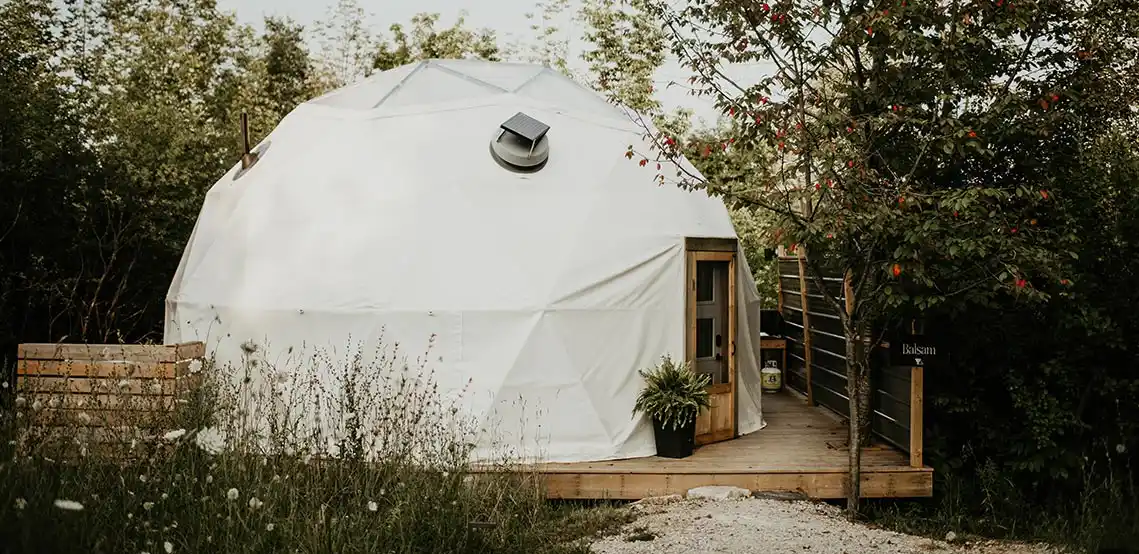 Settle into the stay
