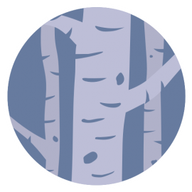 Birch Tree Psychotherapy logo