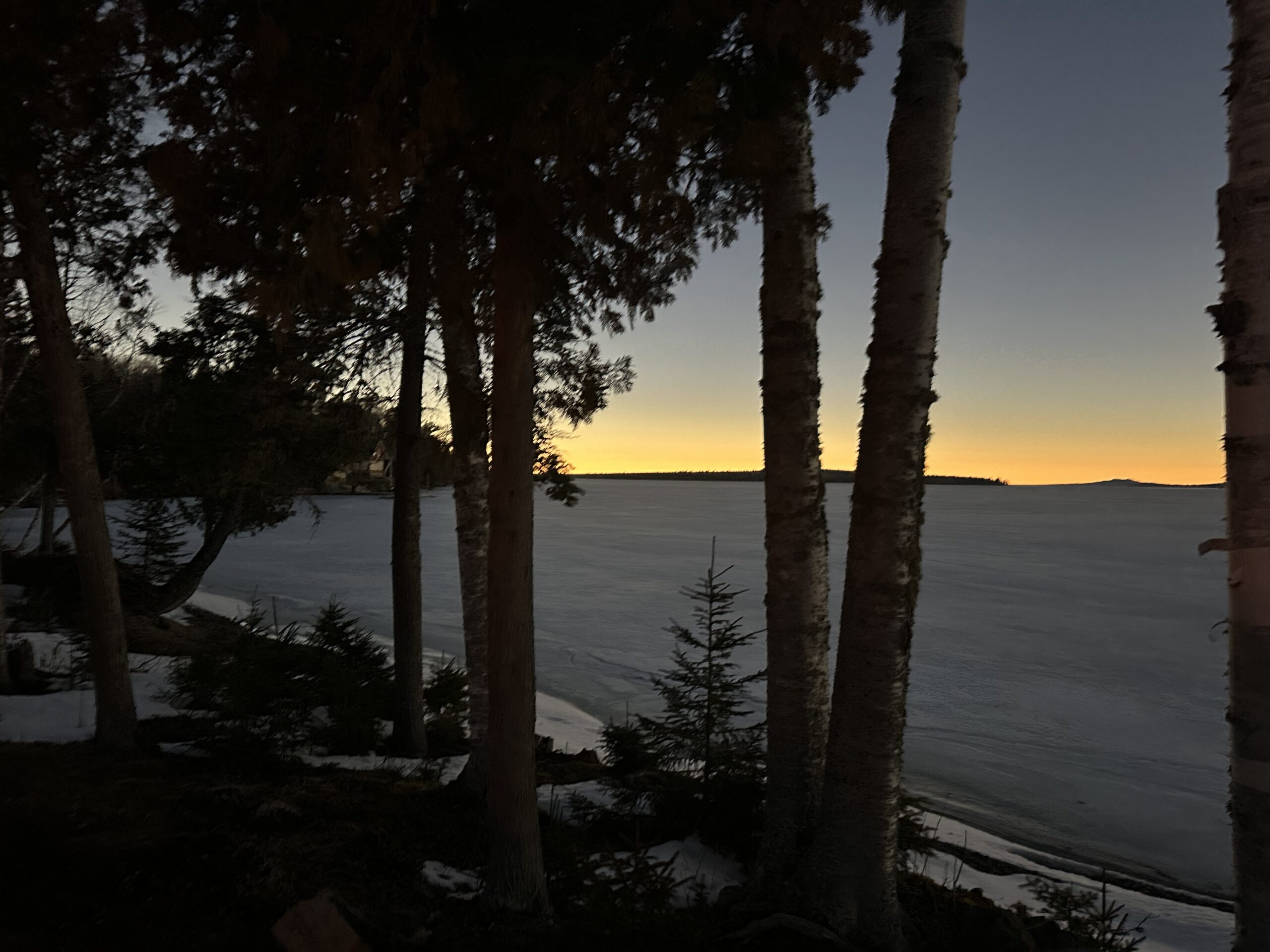 The Birches Resort