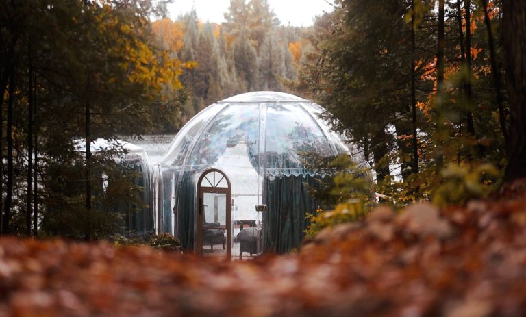 Slow the pace