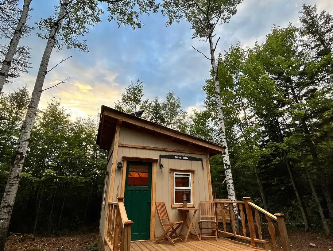 Camp Blaze Retreat — Women's Forest Retreat