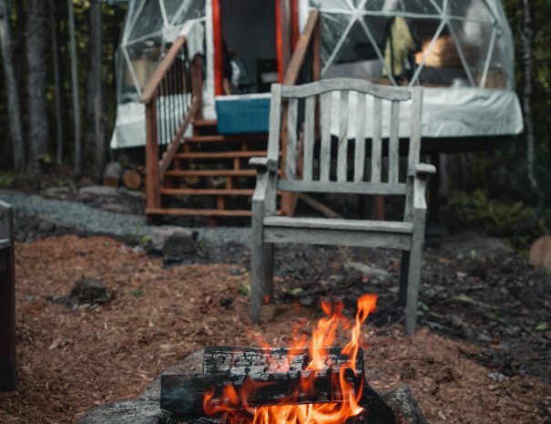 Settle into the stay