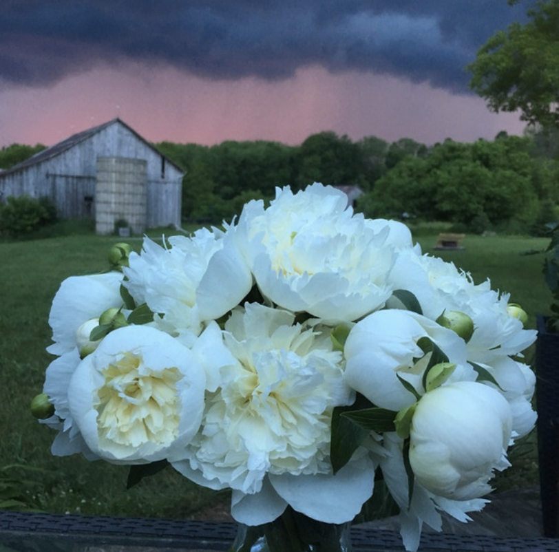 Cobblestone Farm