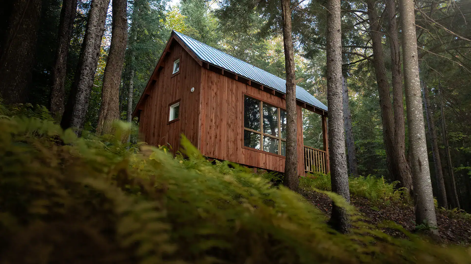 Settle into the stay