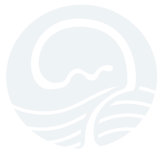 CURIOUS MIND COUNSELING — Therapist