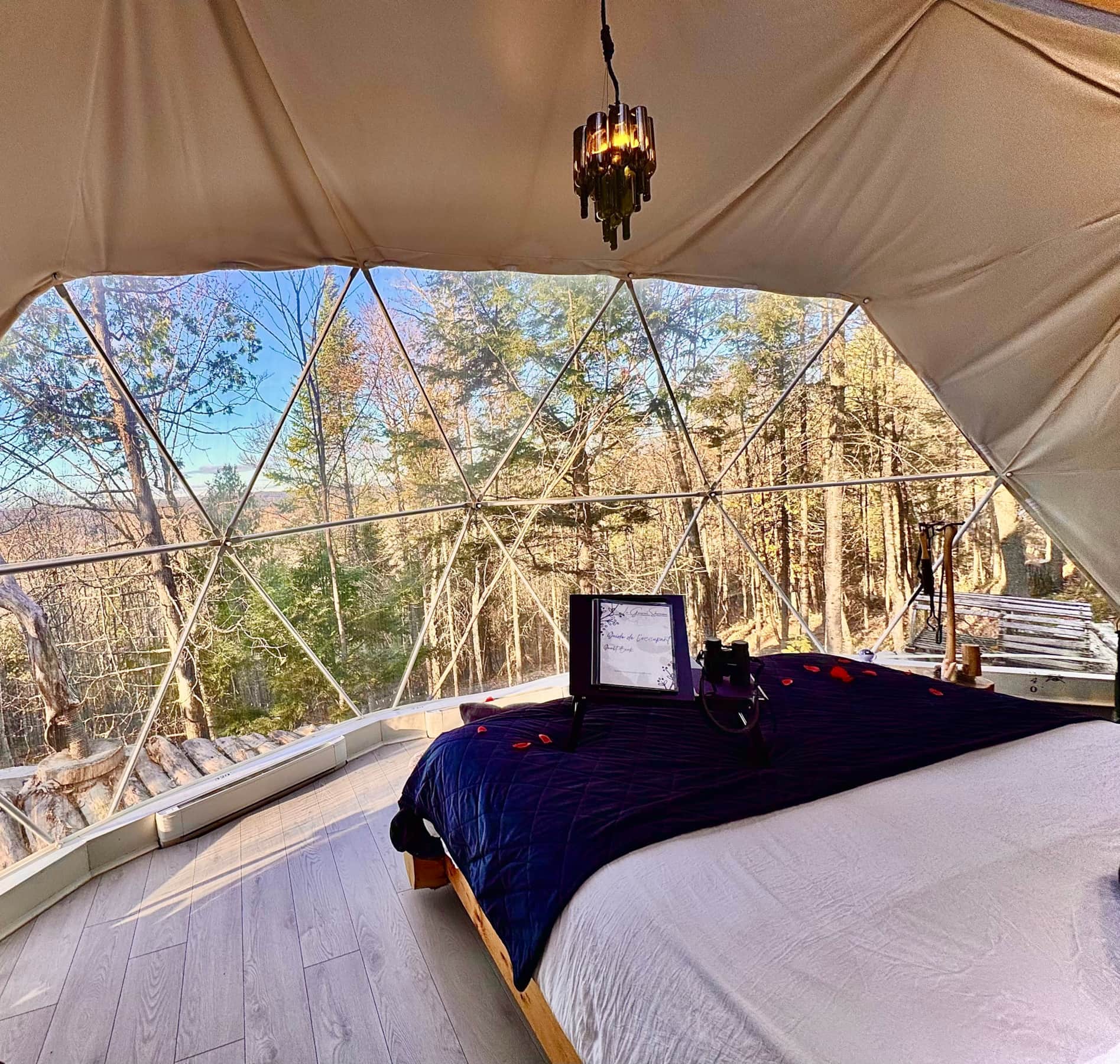 Settle into the stay