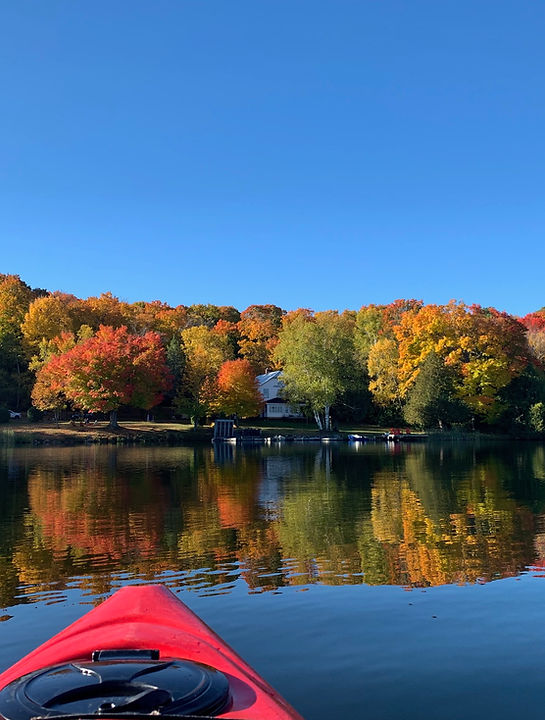 The Forest Hill Lodge — cottage-wellness