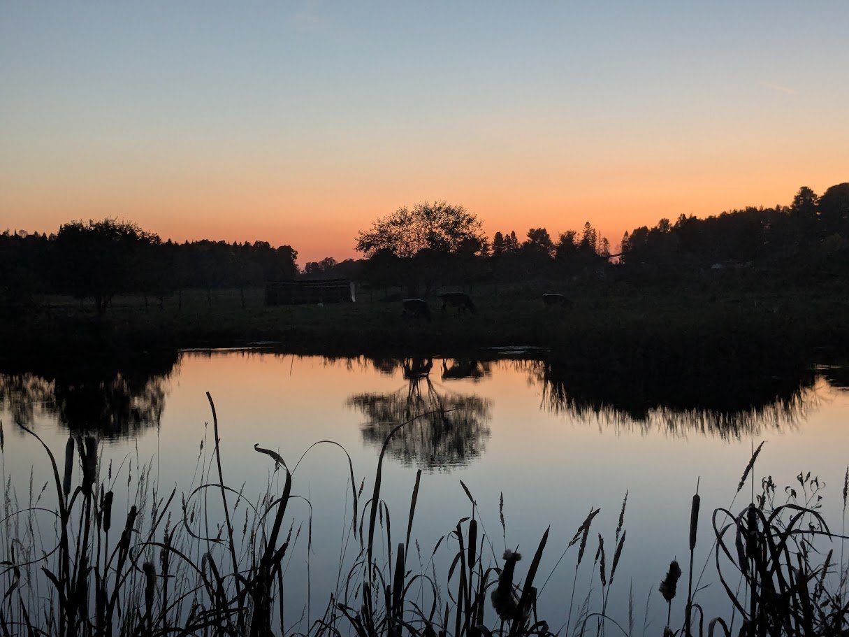 Foxfire Heritage Farm — Heritage Farm Yurt Glamping
