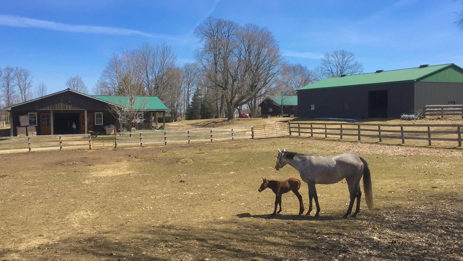 Glen Oro Farm — Glamping Retreat
