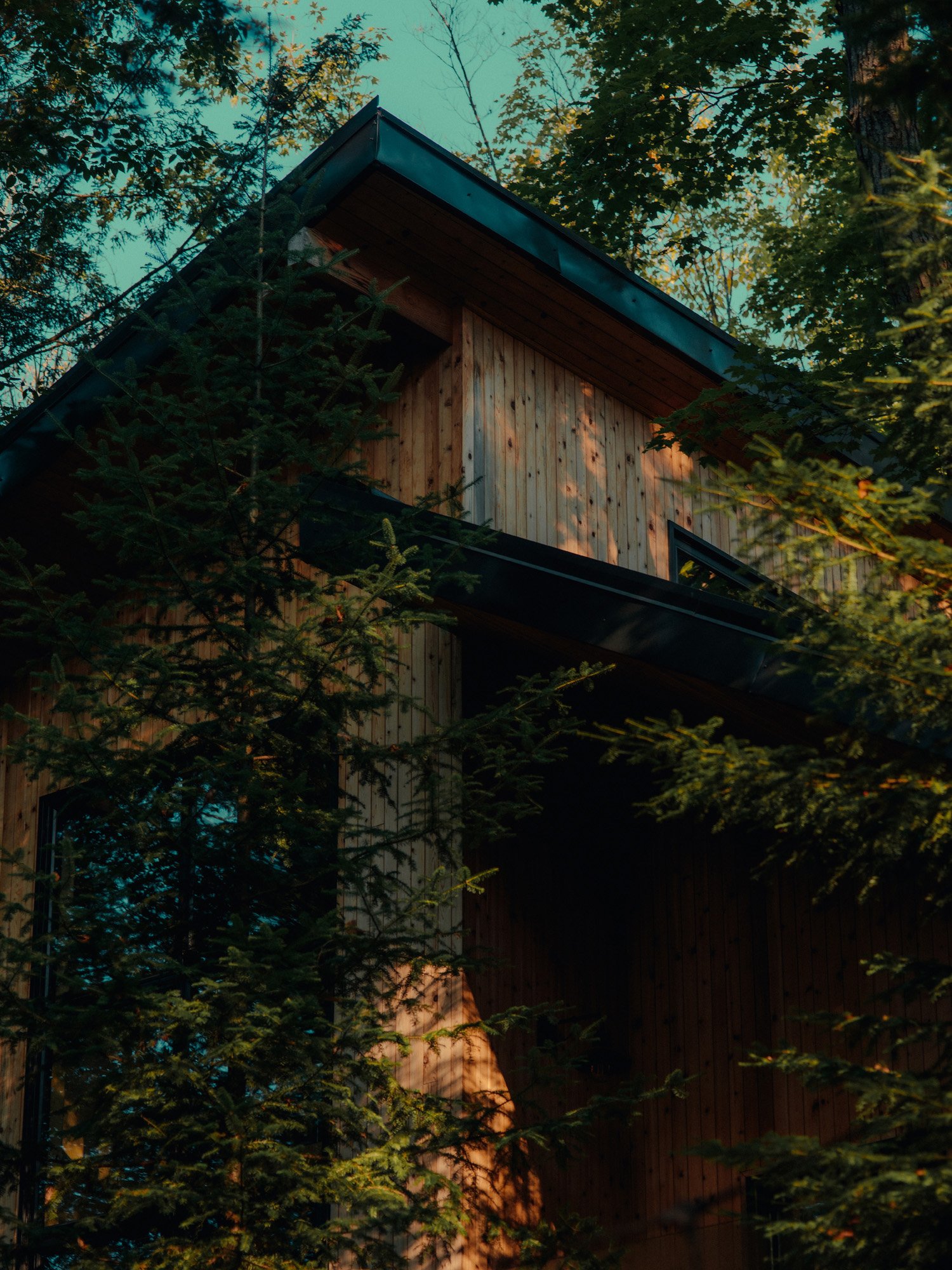 Settle into private treehouse stays