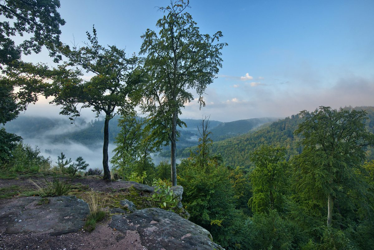 Northern Vosges Nature Park