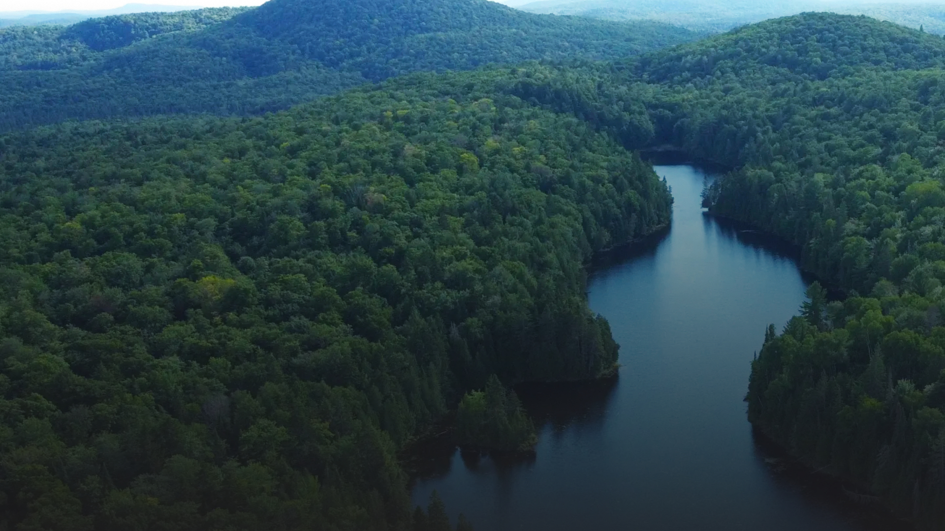 Refuge du Lièvre Rouge — Off-Grid Forest Refuge