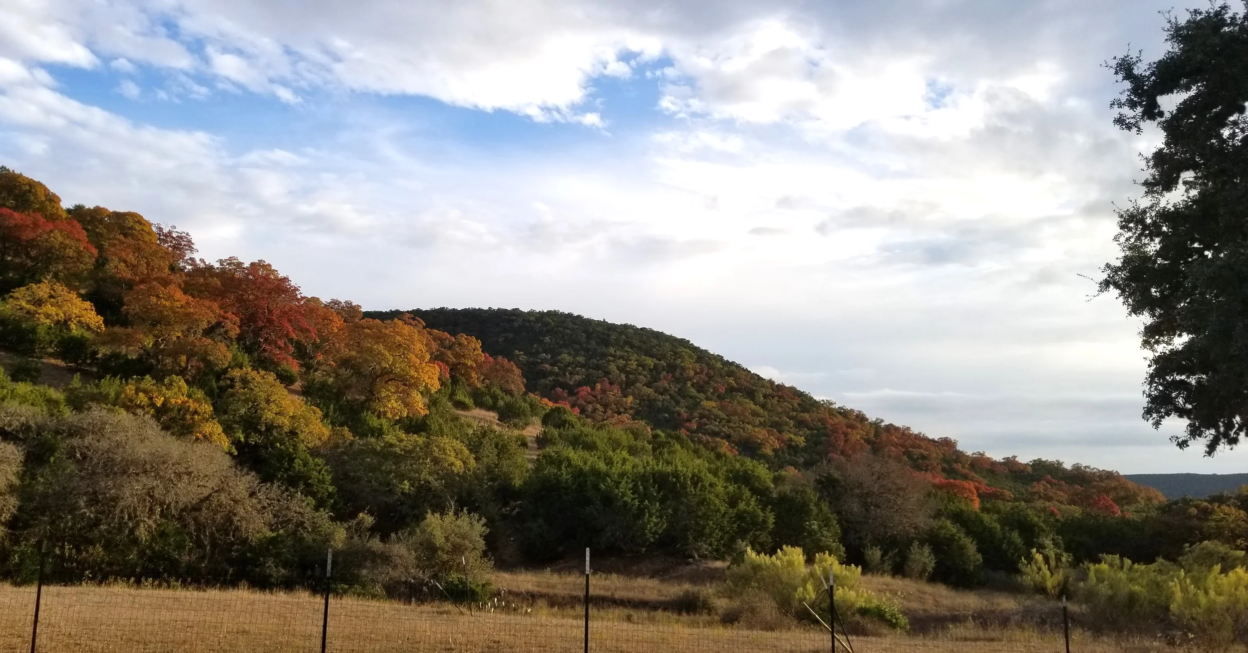 Arrive at The Lodges at Lost Maples