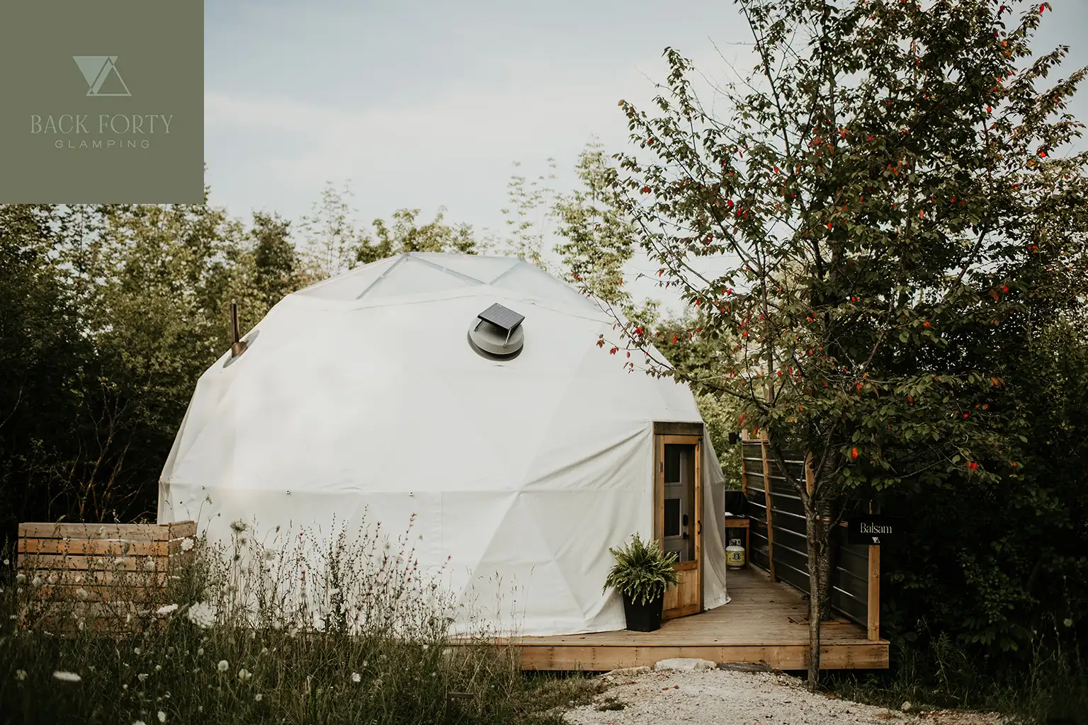 Star-gazing under the dome canopy