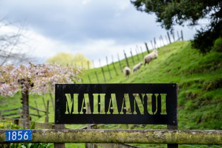 Mahaanui Farmstay Experience logo