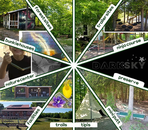 Settle into Tent campsites