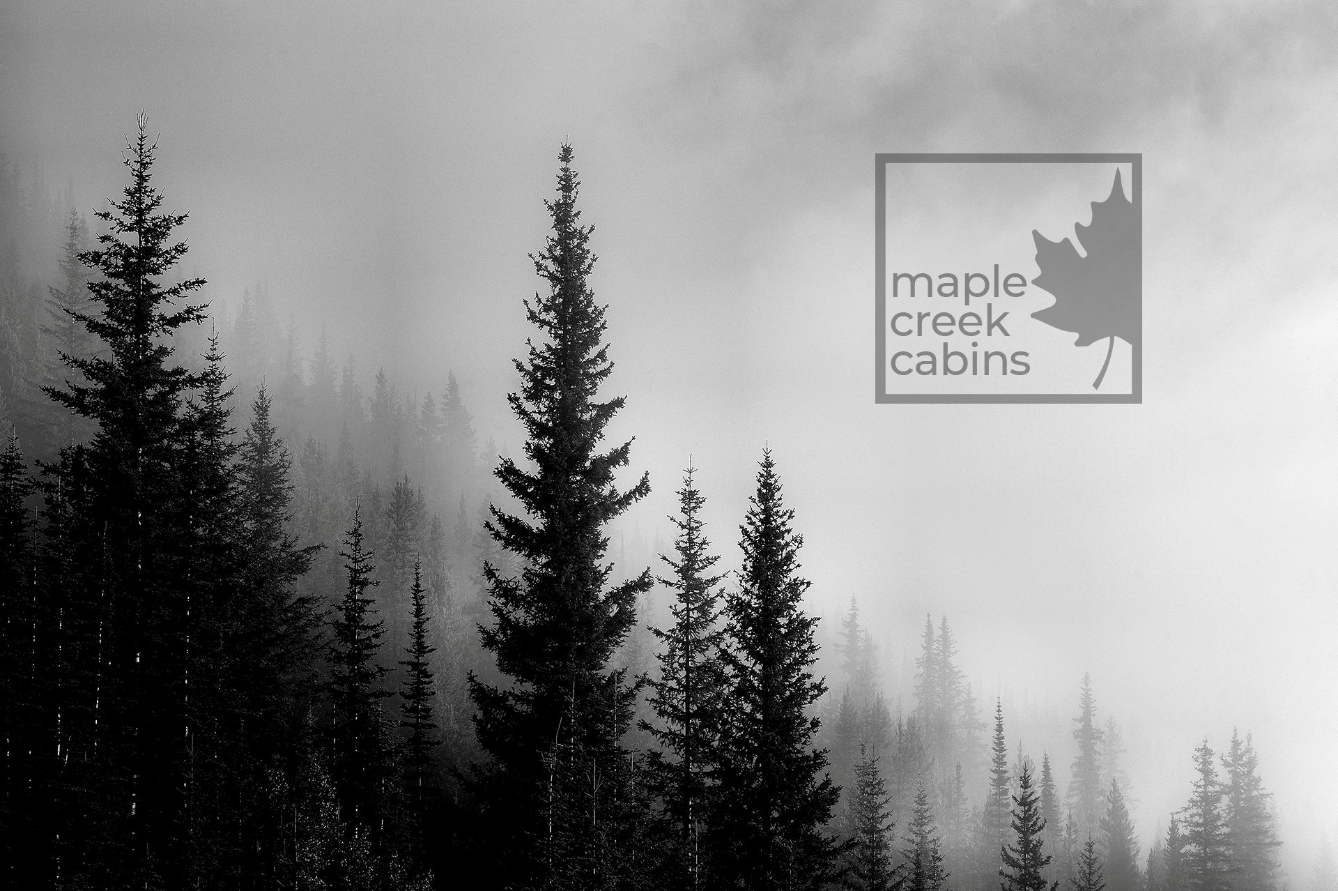 Maple Creek Cabins — Wellness Retreat