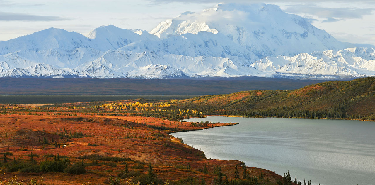 Arrive at McKinley Creekside Cabins