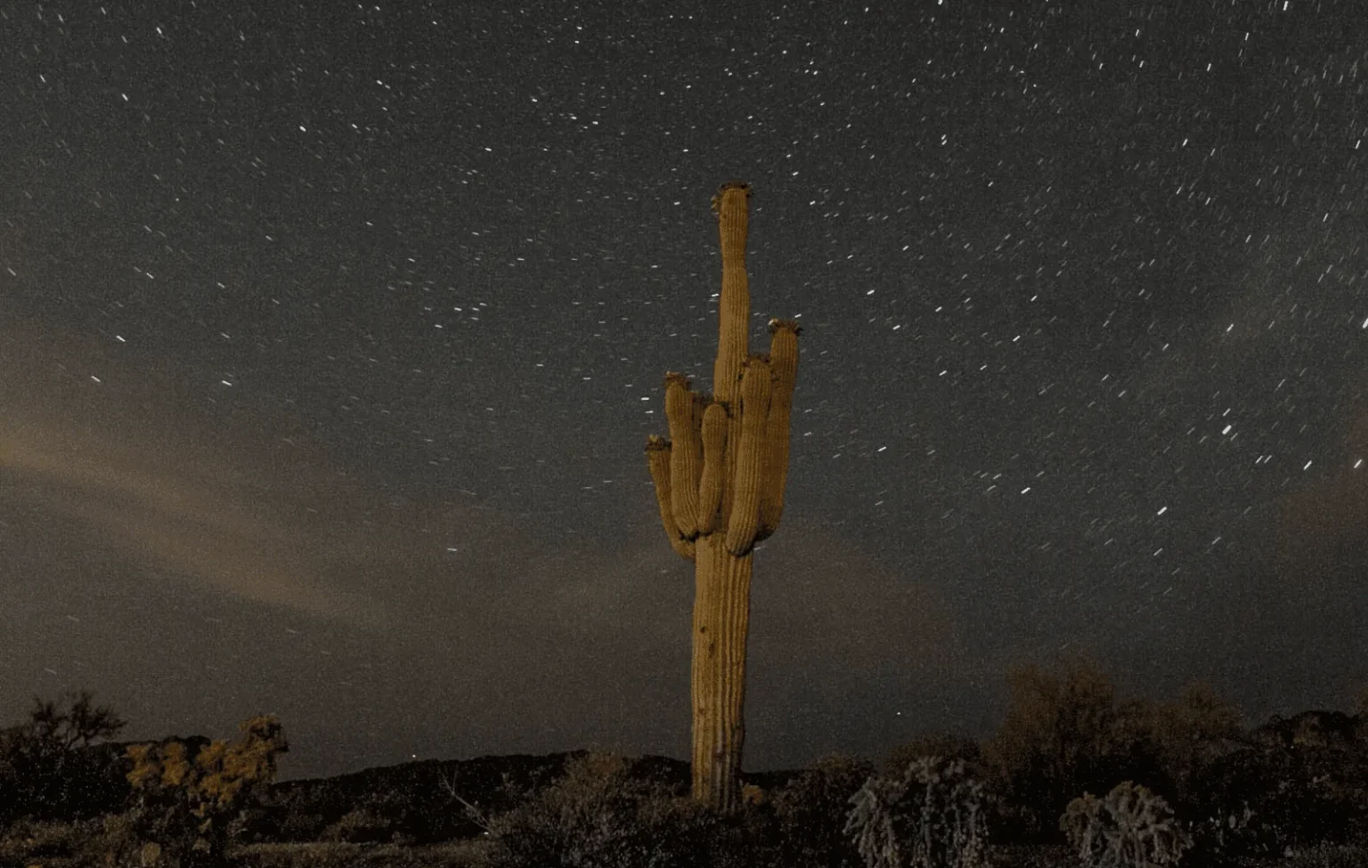 Desert sunrise yoga