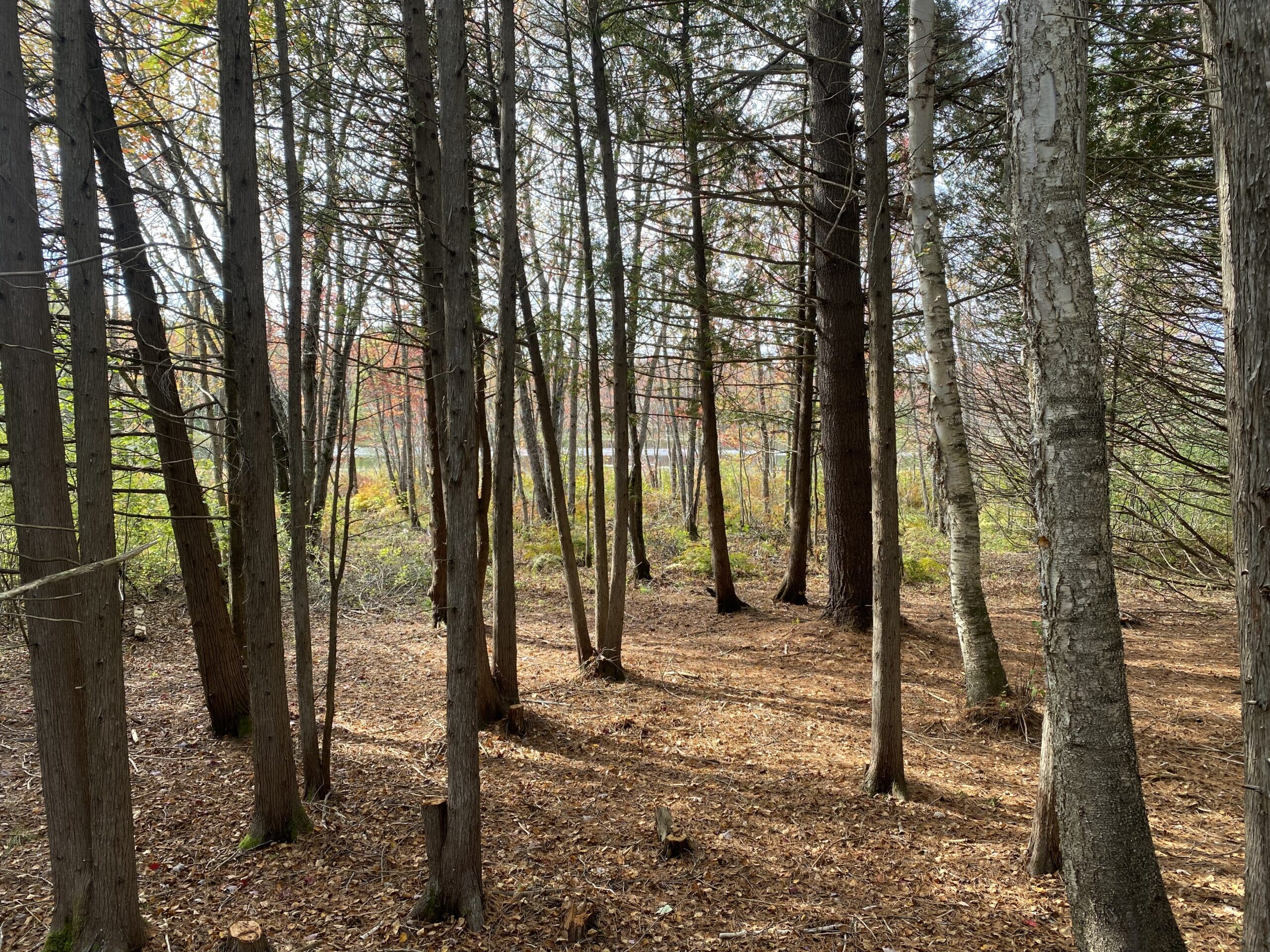 New Frontiers Retreat — Glamping Retreat