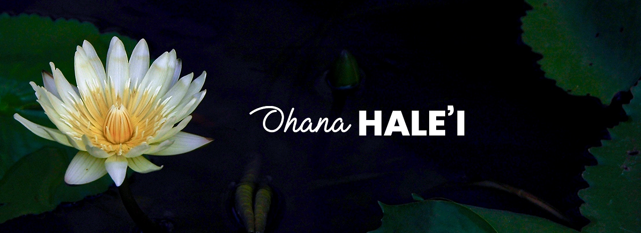 Arrive at Ohana Hale'i