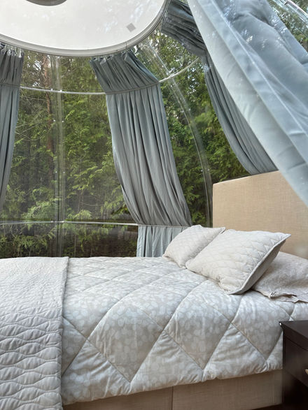 Settle into the stay