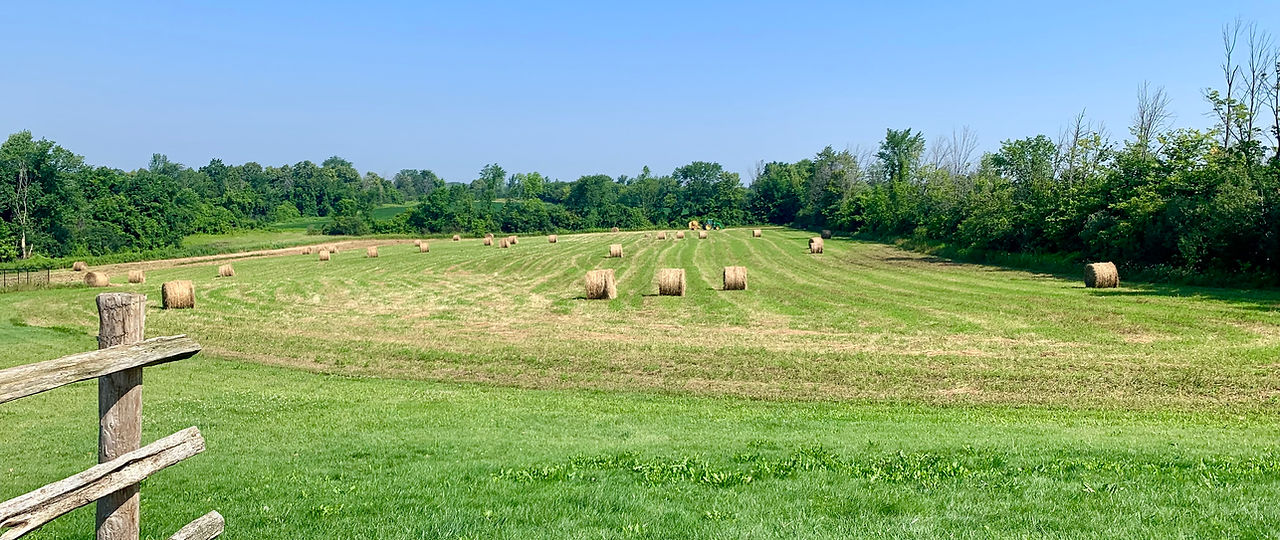 Open Acres Country Escape — Luxury Dome Glamping