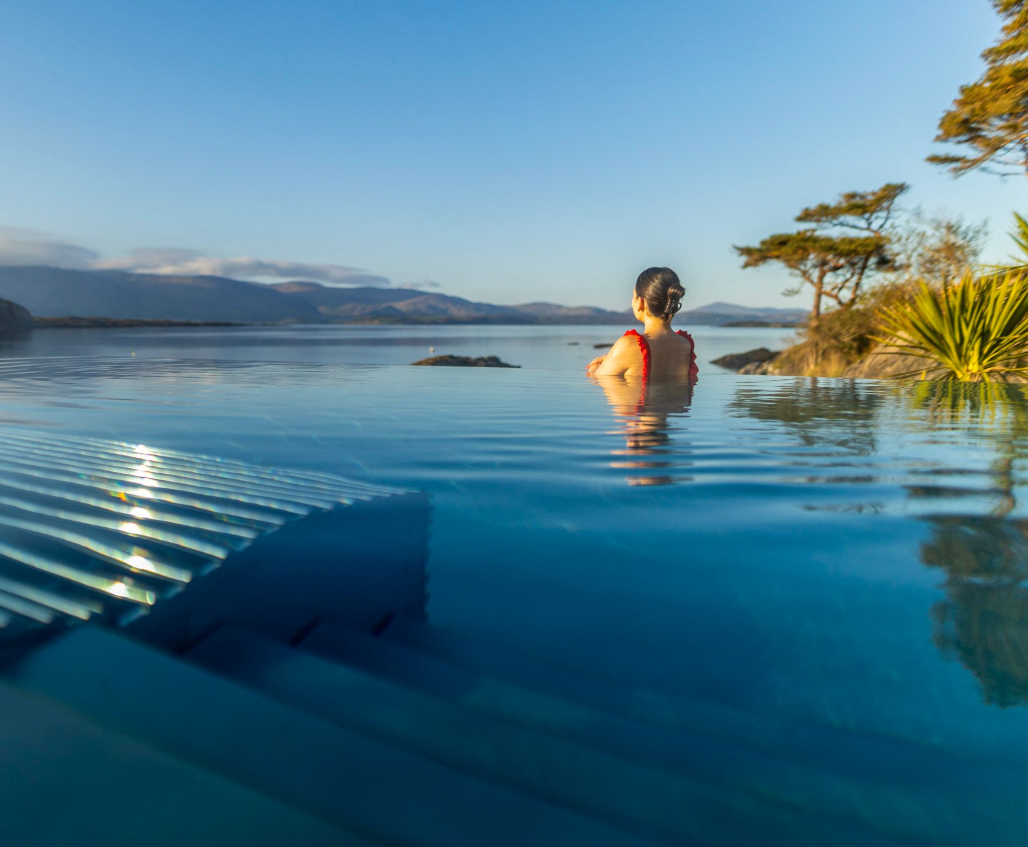 Use the signature wellness draw