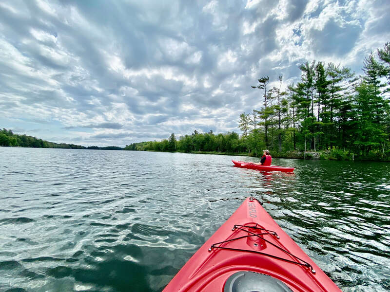 Murphys Point Provincial Park next door